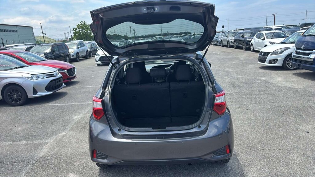 2019 Toyota Vitz Hybrid