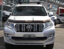 2020 Toyota Landcruiser Prado Kakadu thumbnail