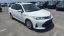 2019 Toyota Axio Hybrid thumbnail