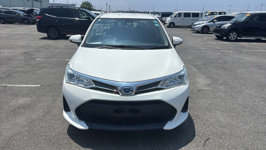 2019 Toyota Axio Hybrid